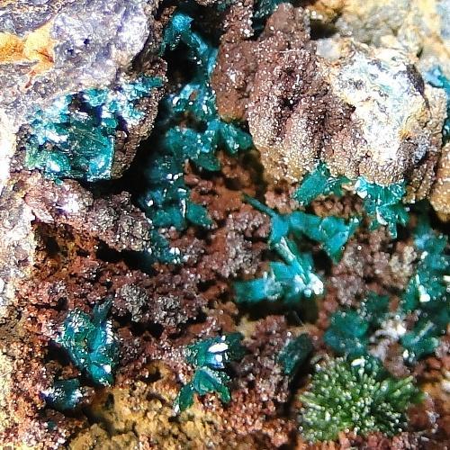 Libethenite & Pseudomalachite