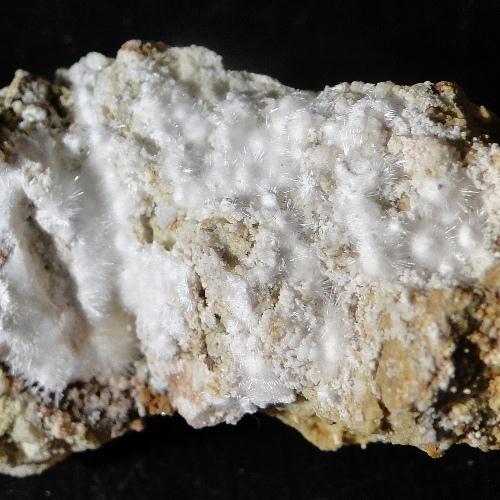 Picropharmacolite