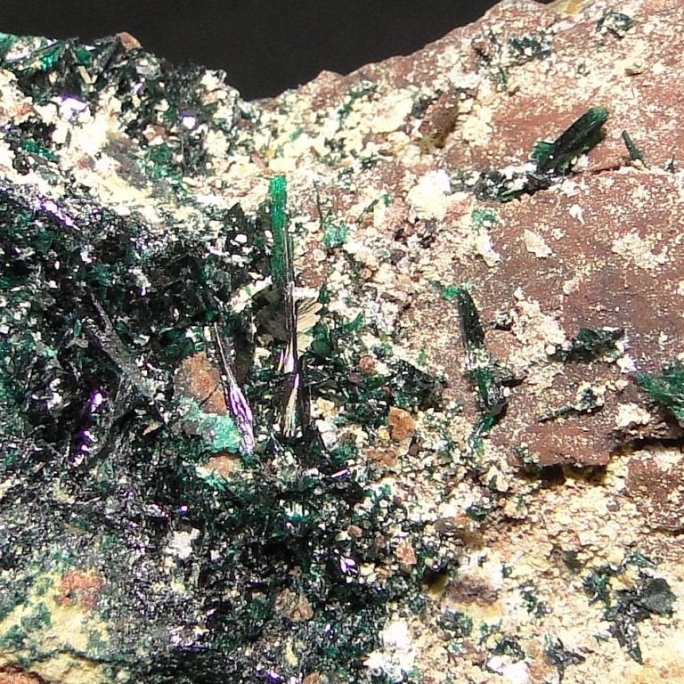 Anatacamite & Paratacamite