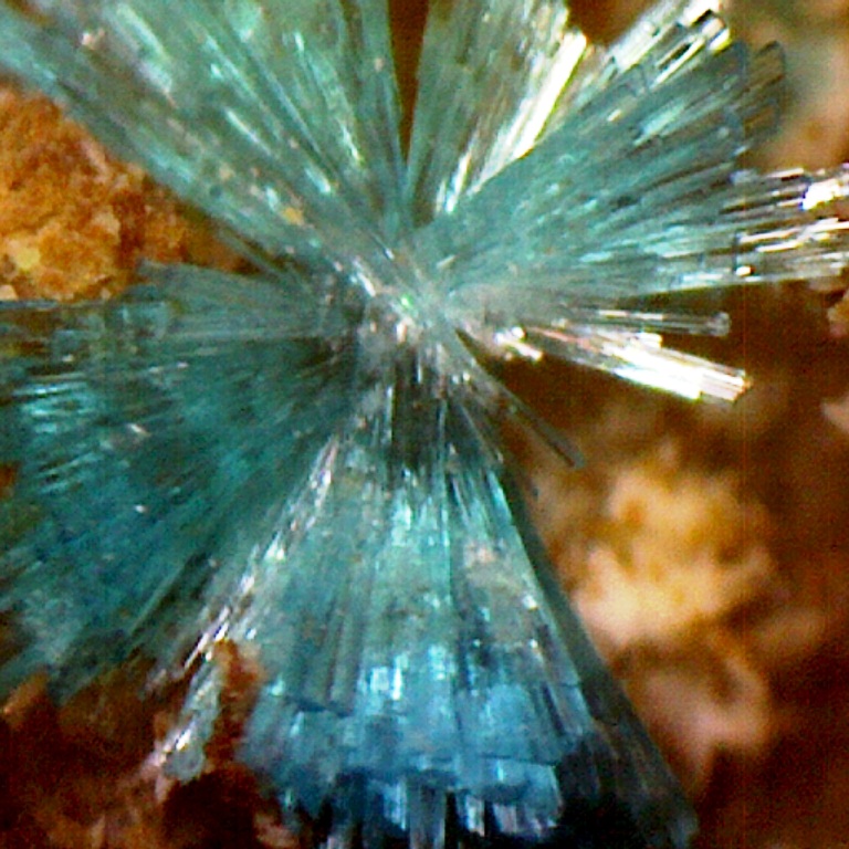 Guanacoite