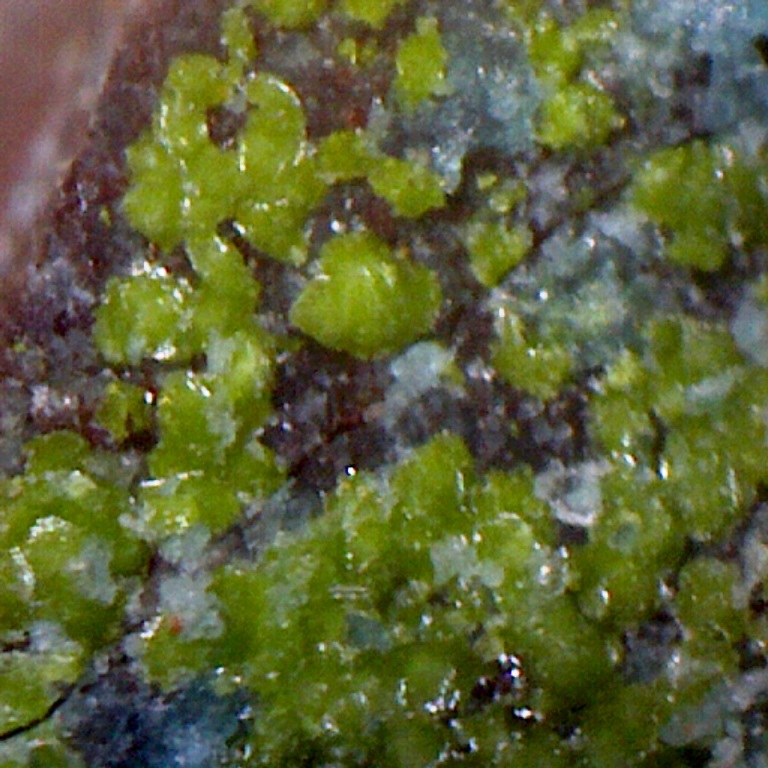 Tangeite