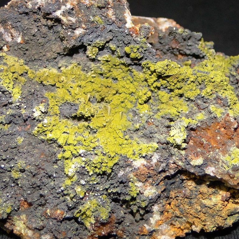 Mottramite & Wulfenite