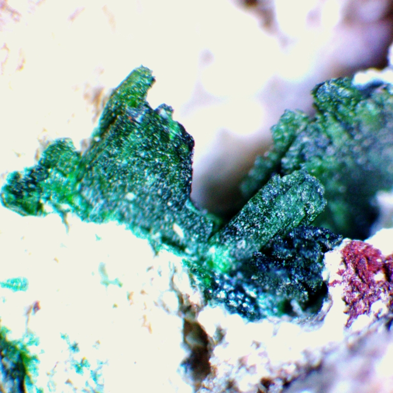 Szenicsite & Molybdenite