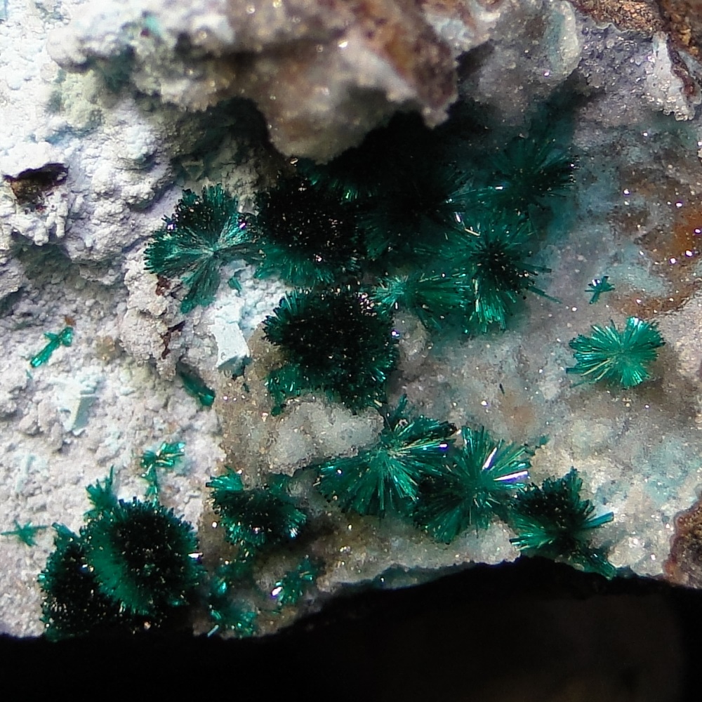 Brochantite & Chalcoalumite