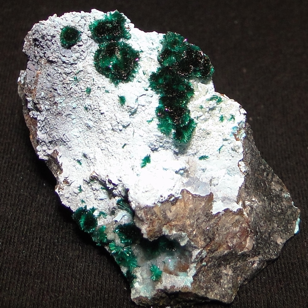 Brochantite & Chalcoalumite