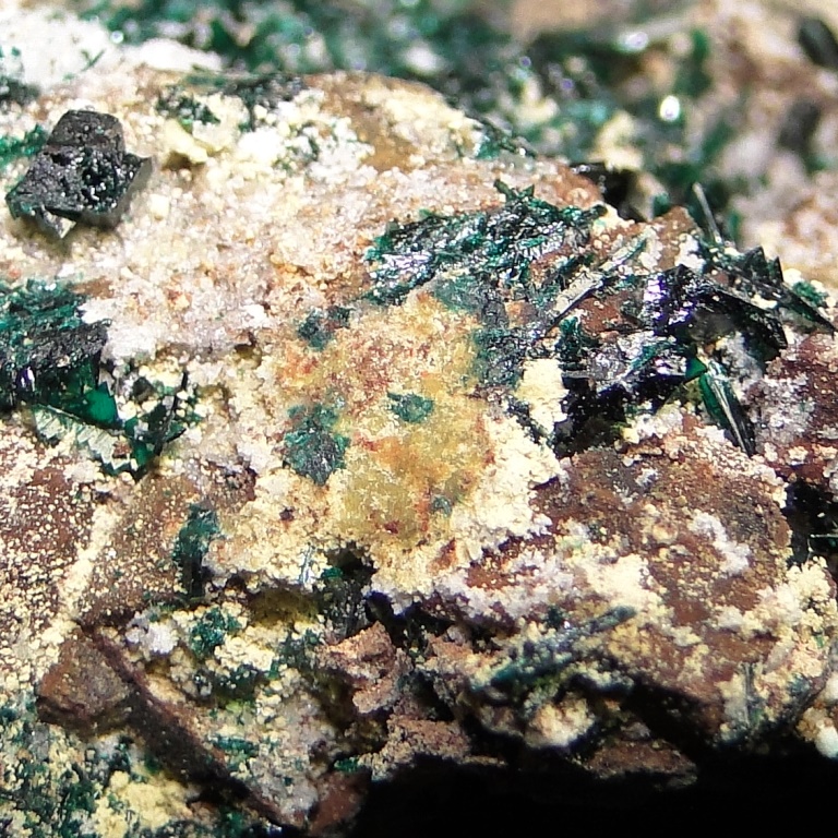 Anatacamite & Paratacamite