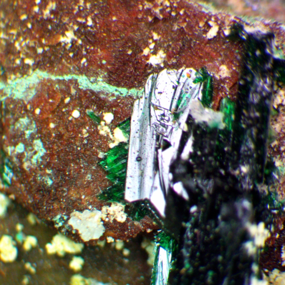 Paratacamite & Anatacamite