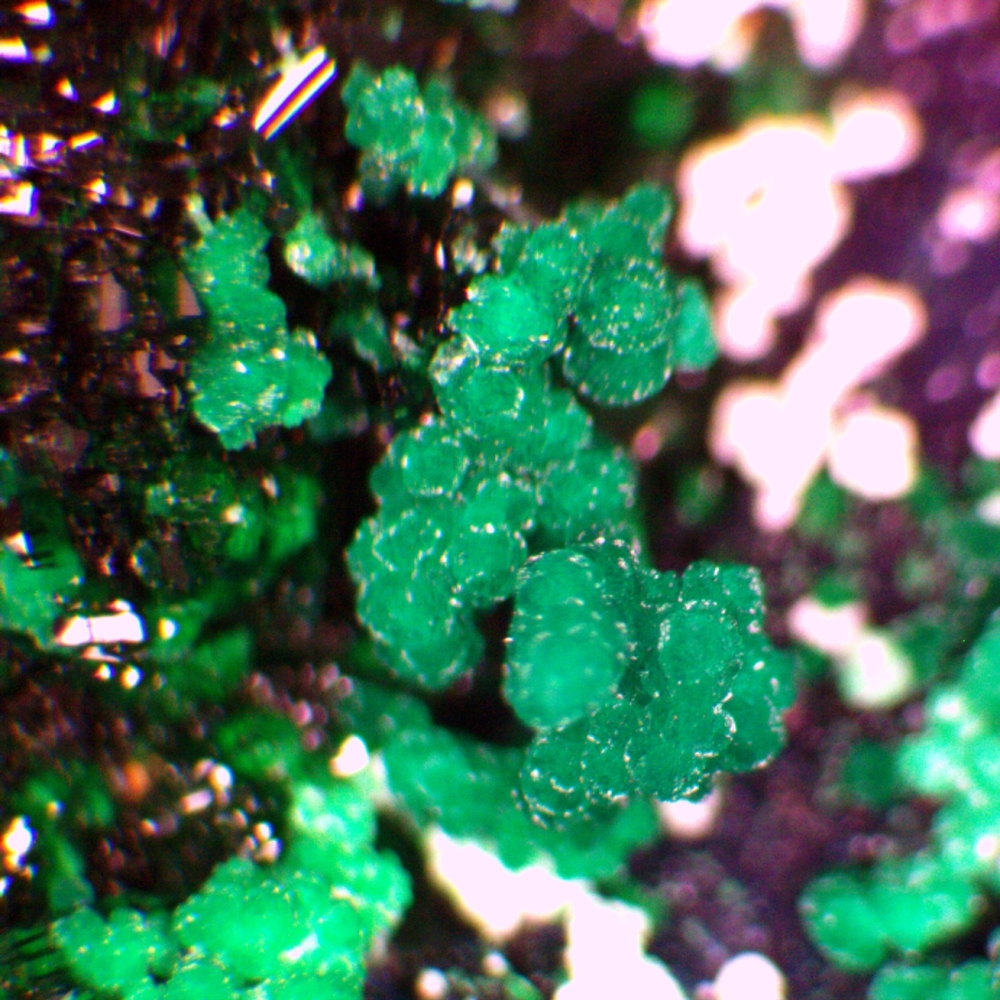 Atacamite & Pseudomalachite