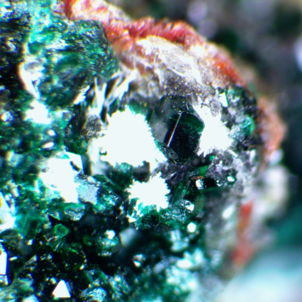 Herbertsmithite