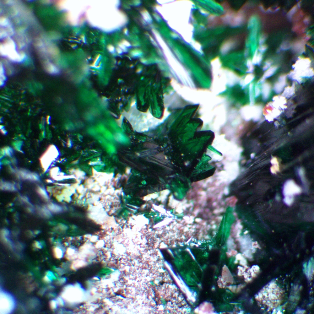 Anatacamite