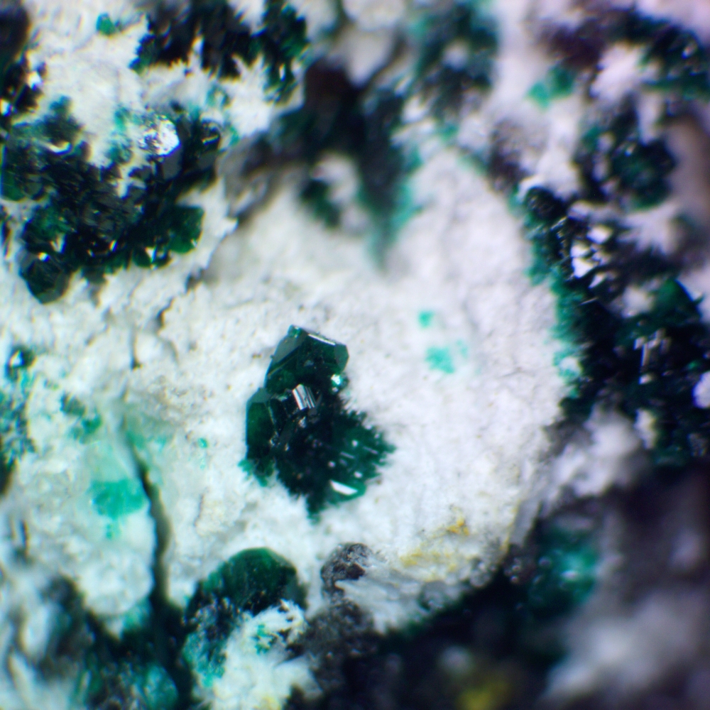 Herbertsmithite