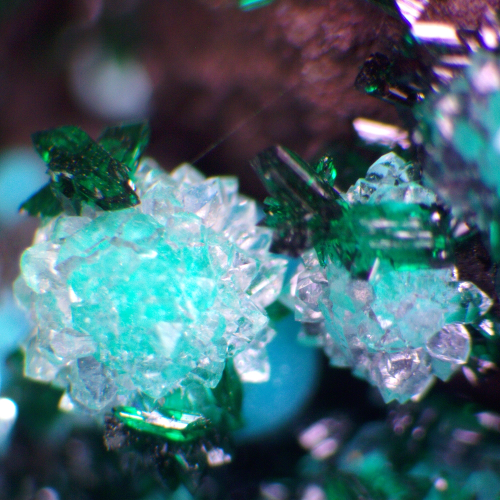 Chrysocolla & Brochantite