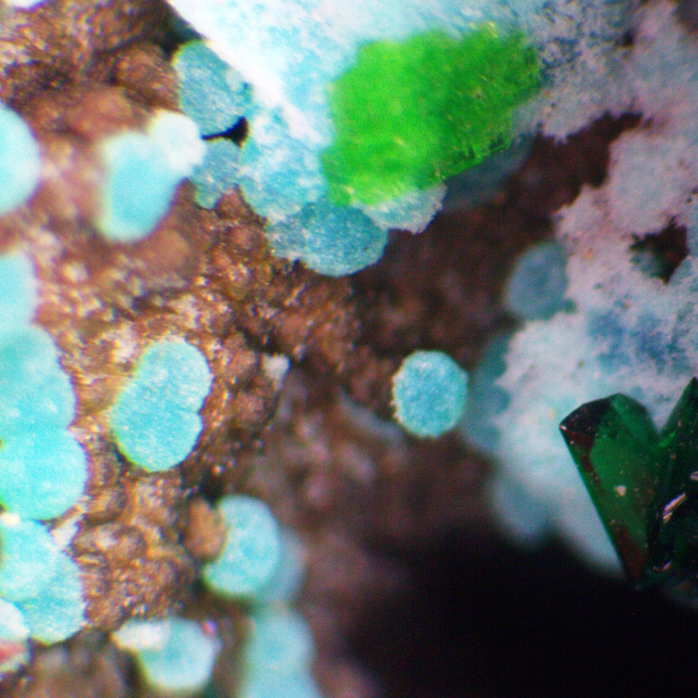 Chrysocolla & Brochantite