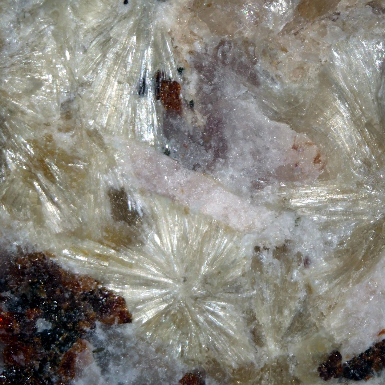 Laplandite-(Ce)