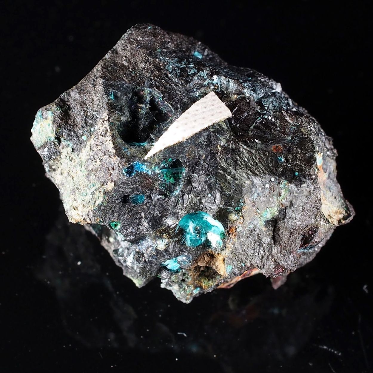 Connellite & Chalcocyanite