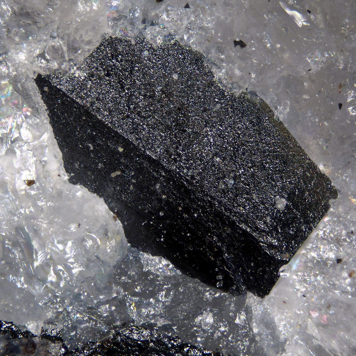 Titanowodginite