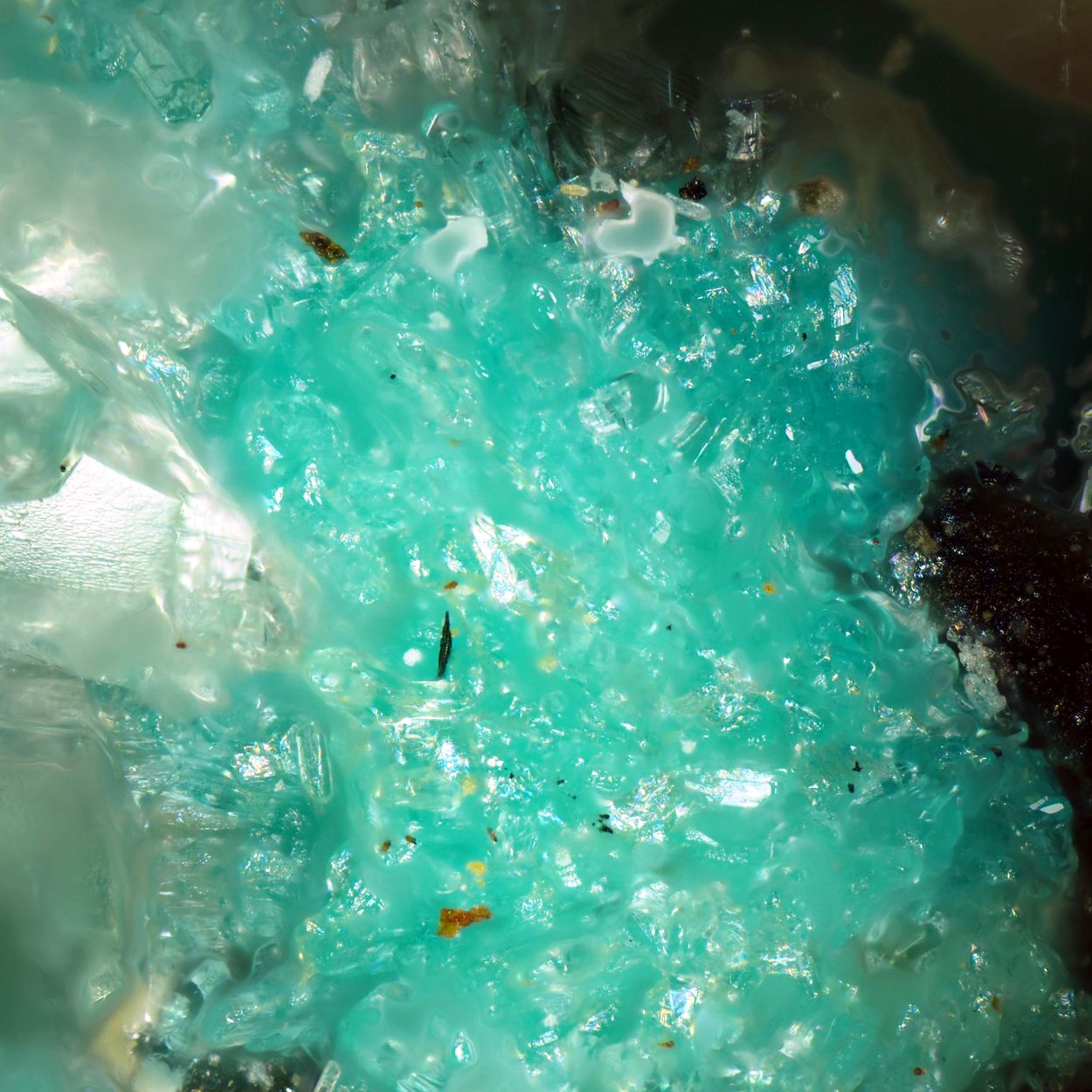 Chenite