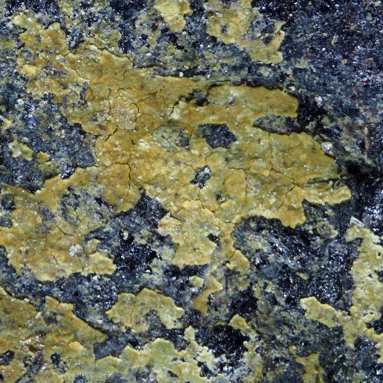 Ferripyrophyllite