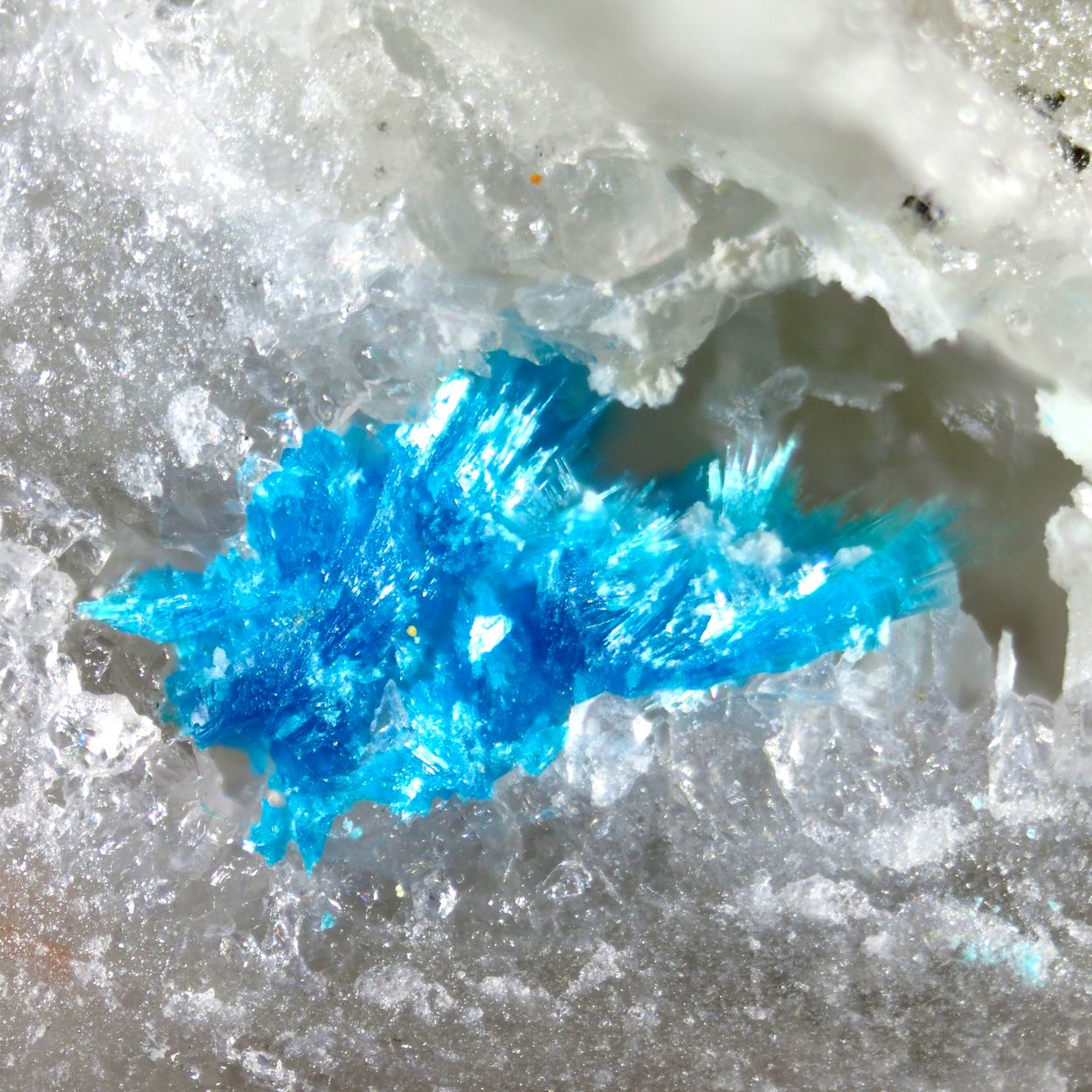 Lemanskiite