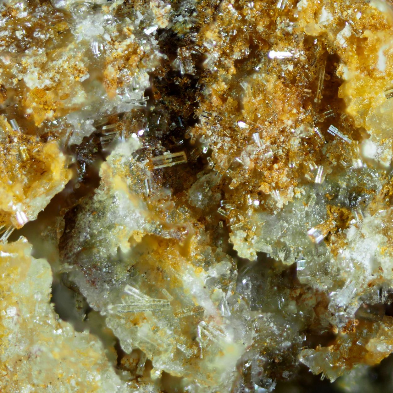 Caracolite