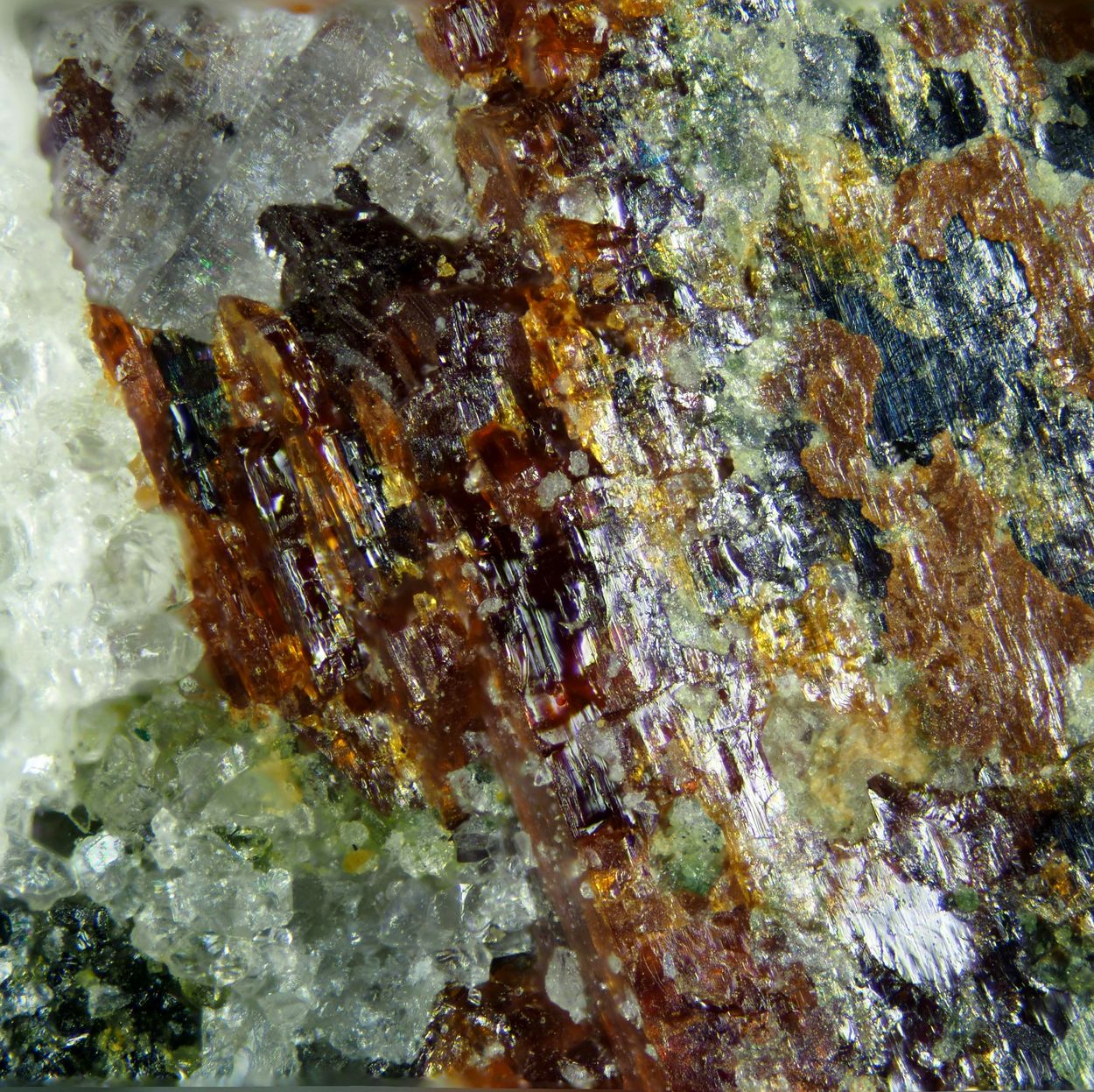 Perraultite