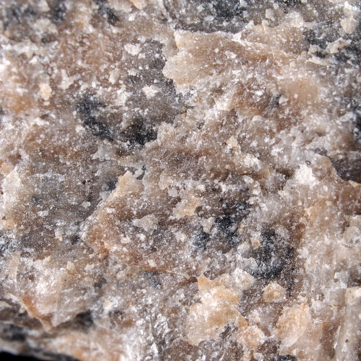 Iimoriite-(Y)