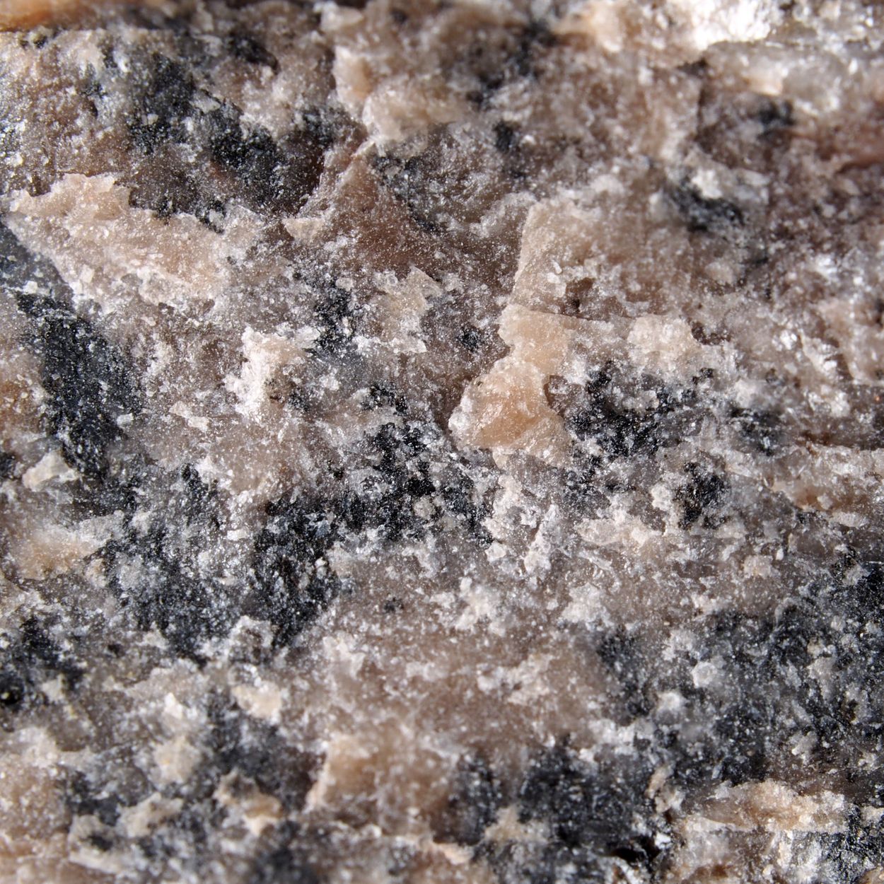 Iimoriite-(Y)