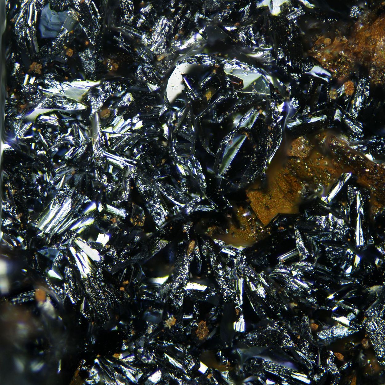 Chalcophanite