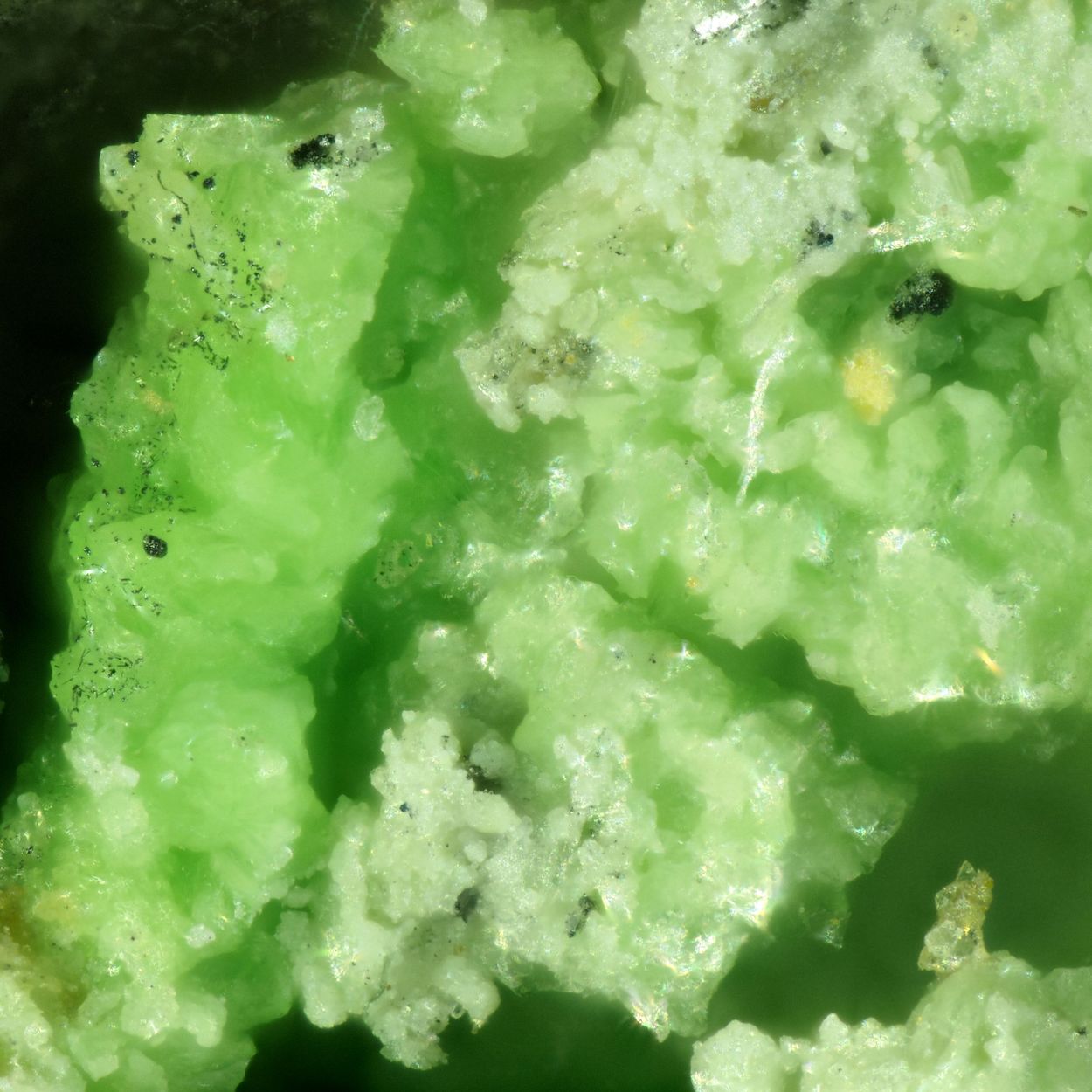 Kahlerite