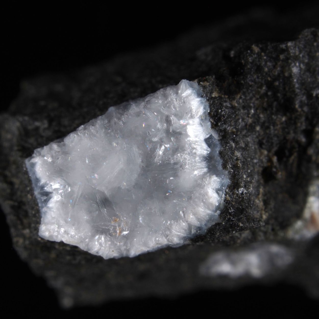 Truscottite