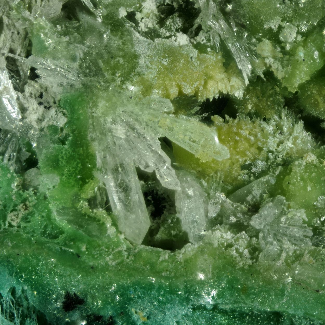 Mallestigite & Schultenite