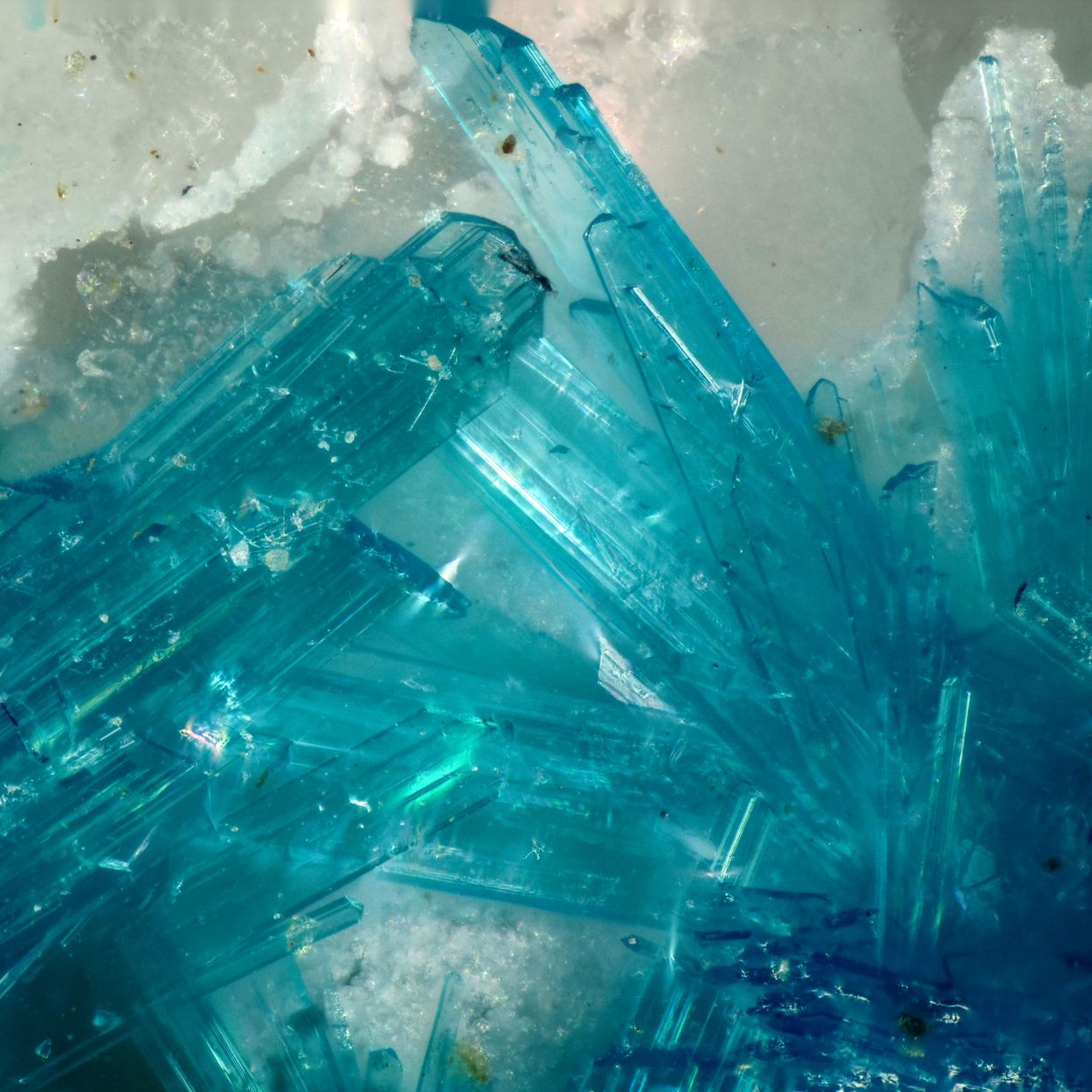 Serpierite