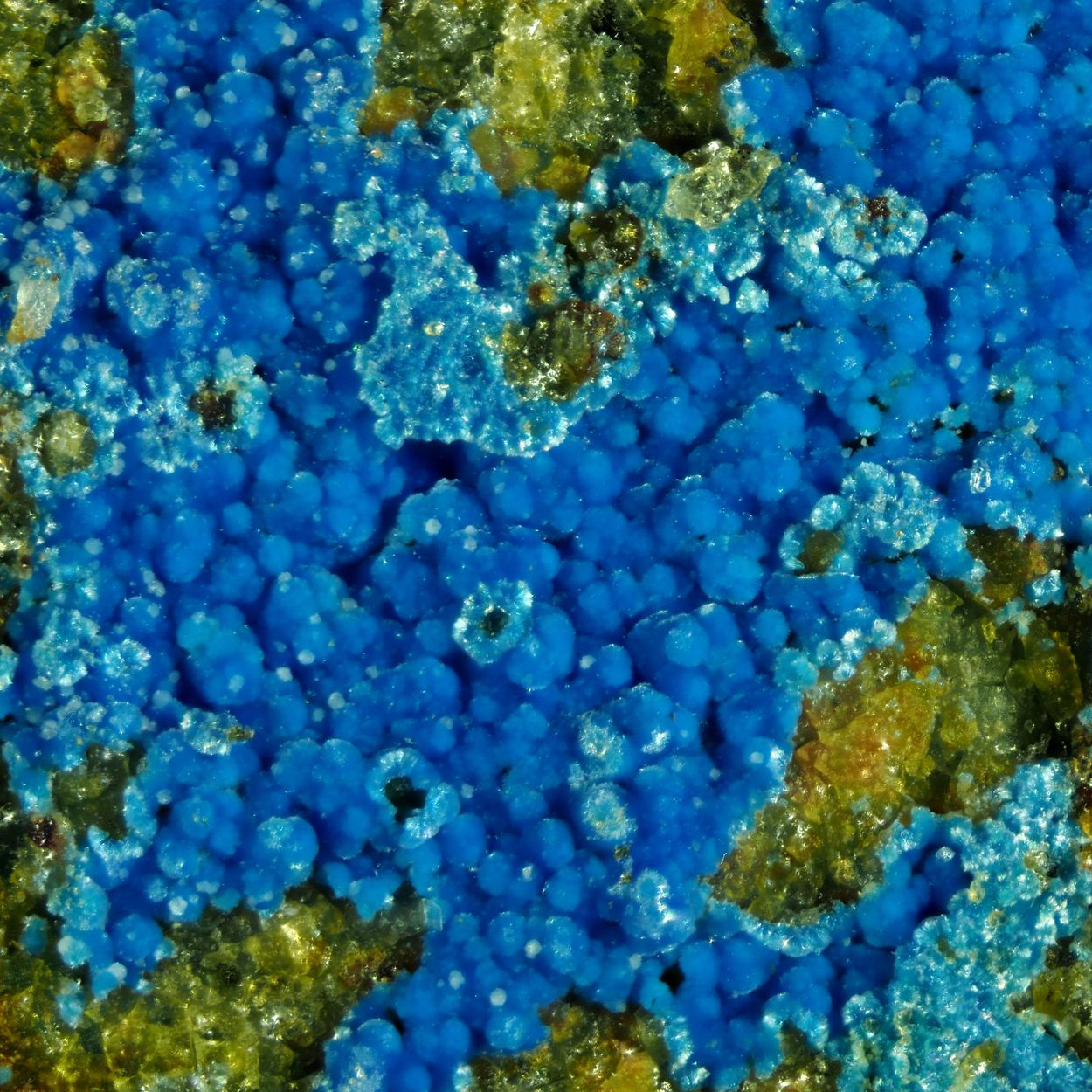 Cyanotrichite