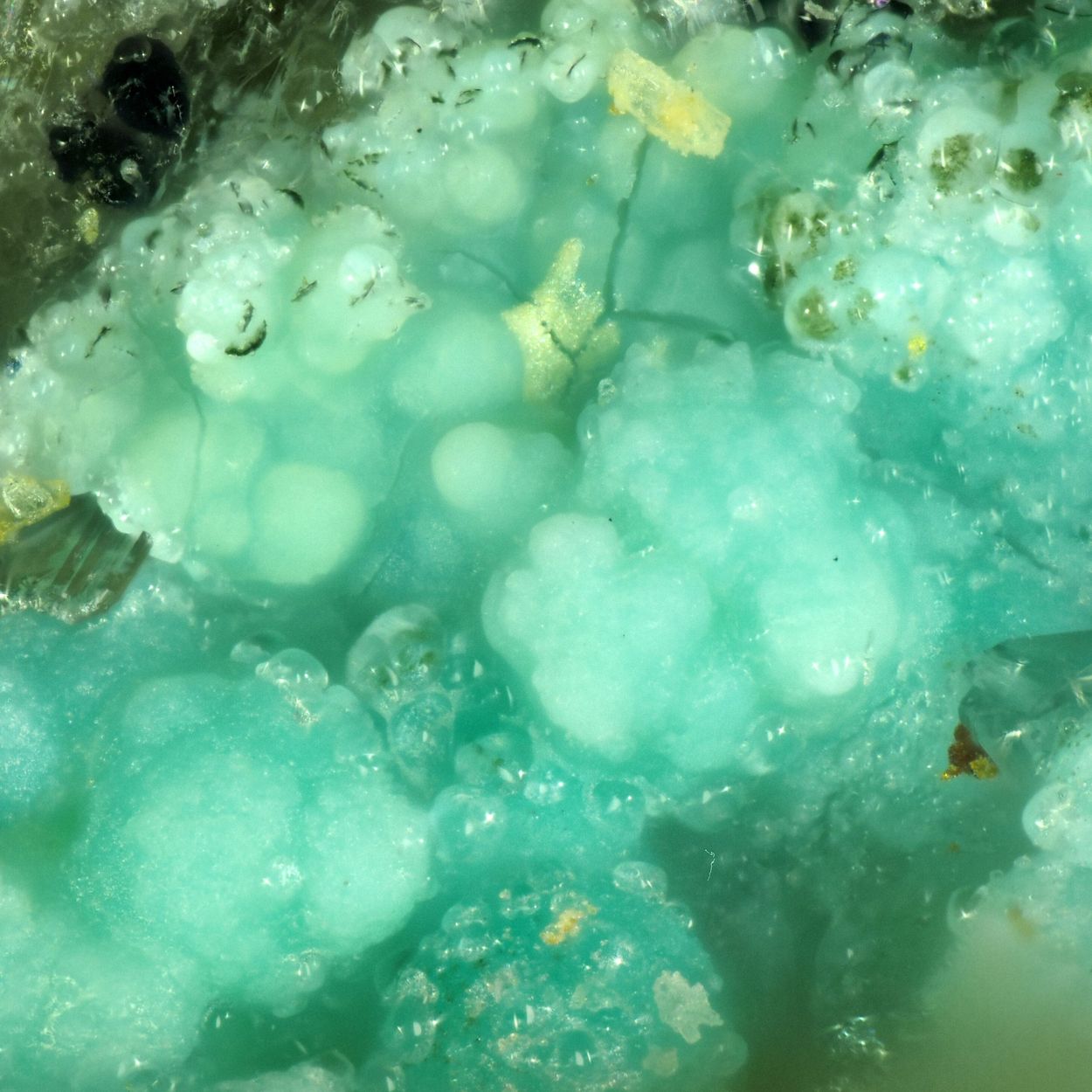 Zincowoodwardite