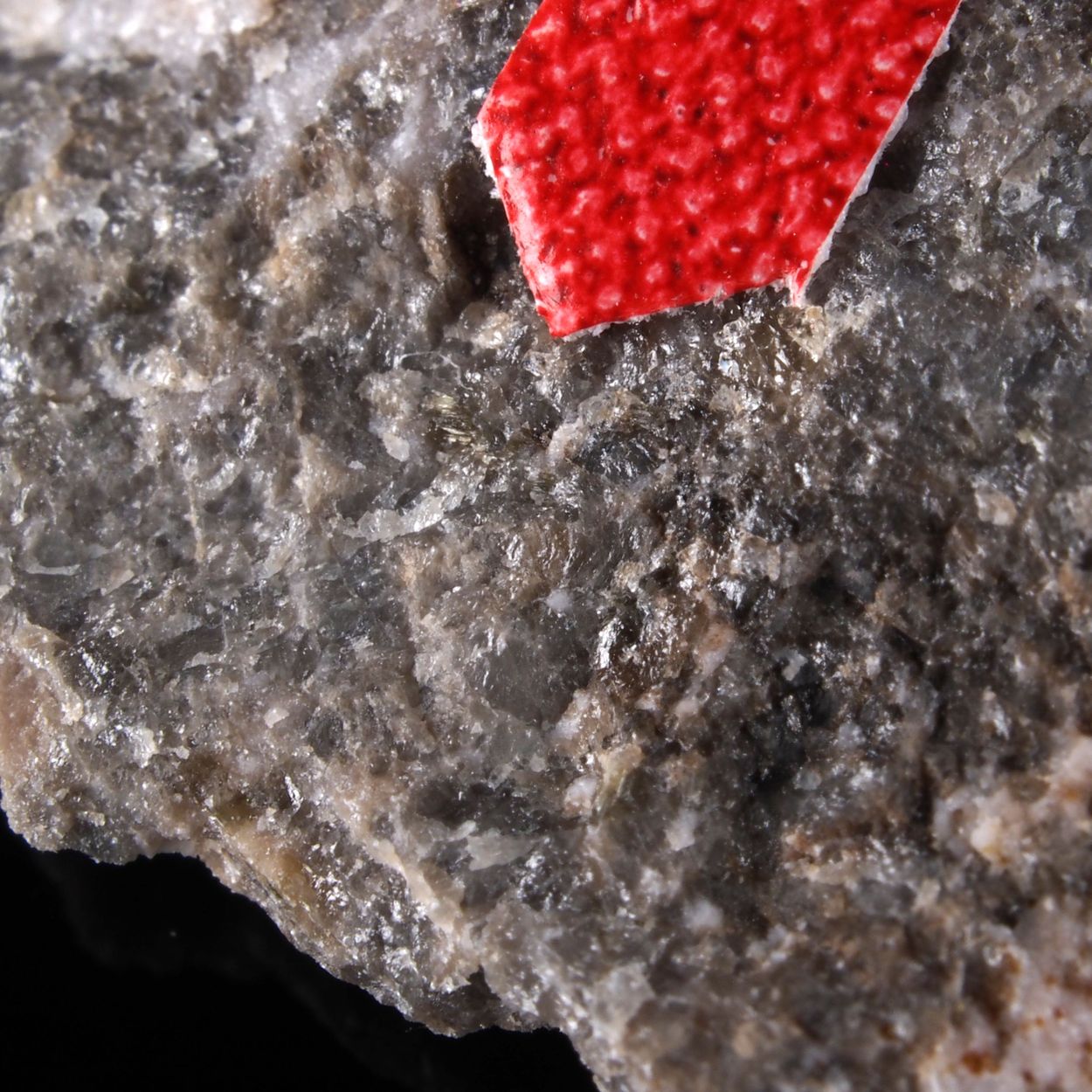Kinoshitalite