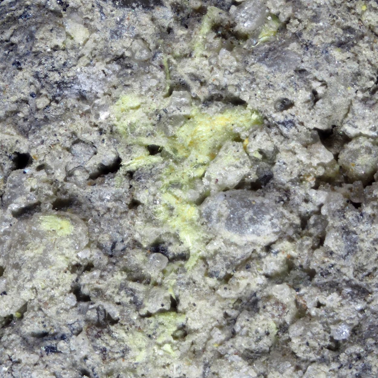 Alwilkinsite-(Y)