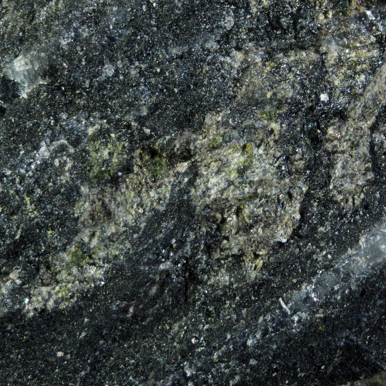 Cortesognoite