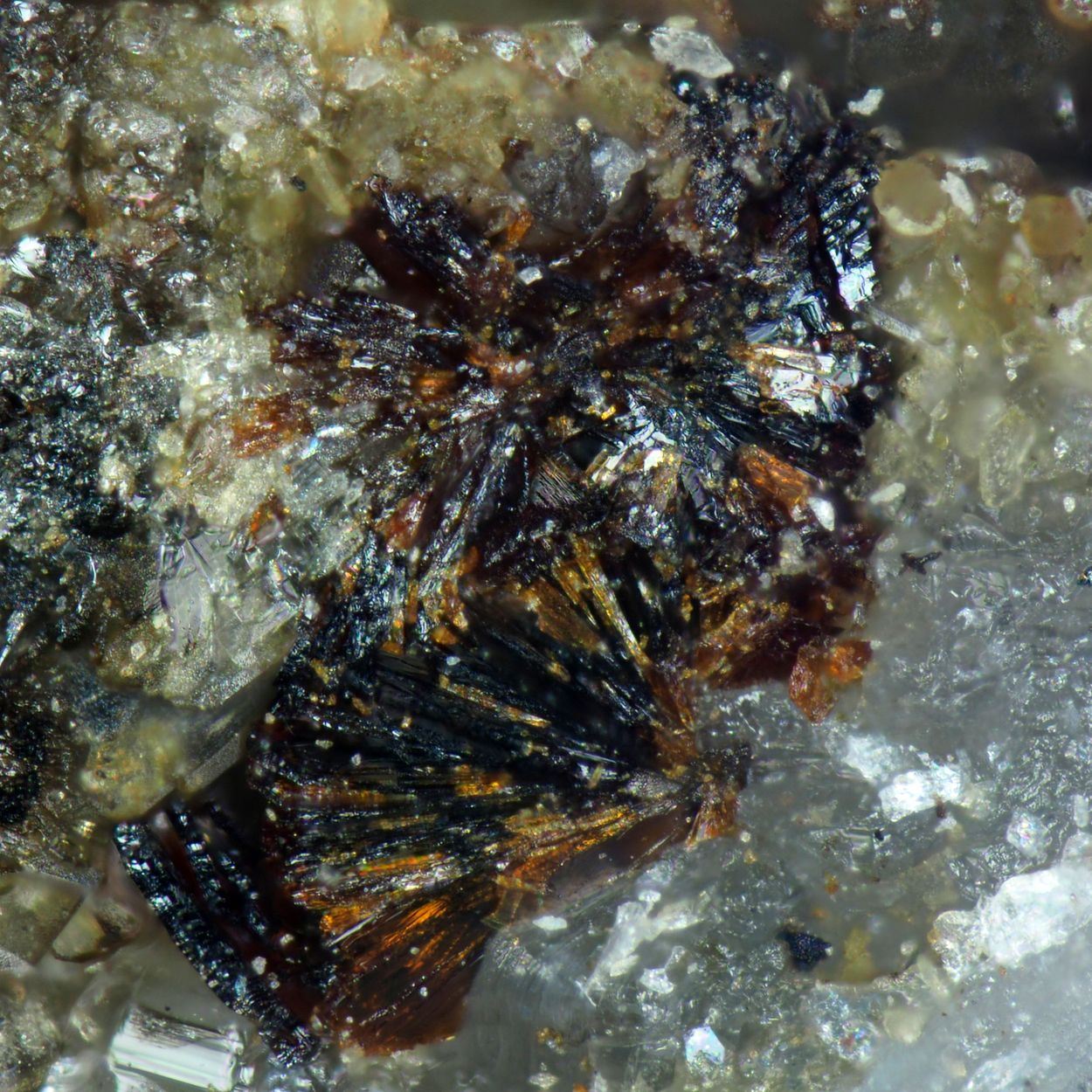 Hematolite