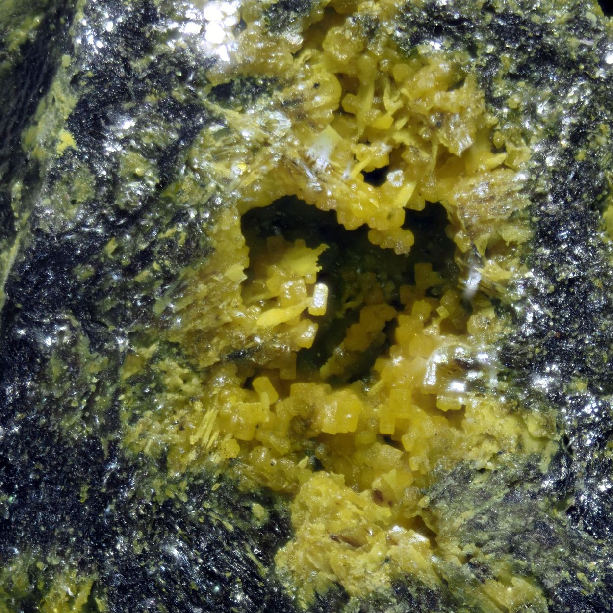 Hydrotungstite On Ferberite