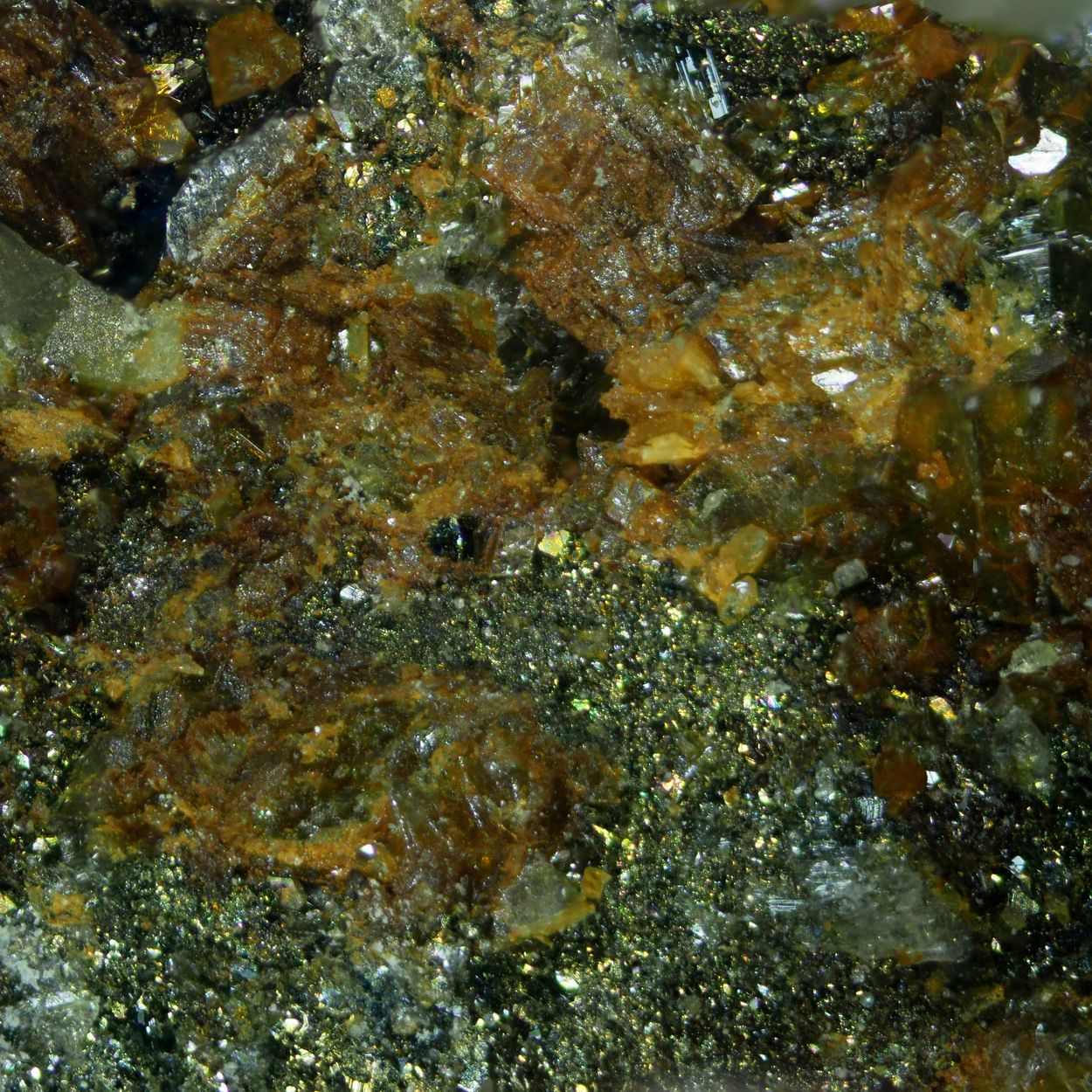 Graeserite