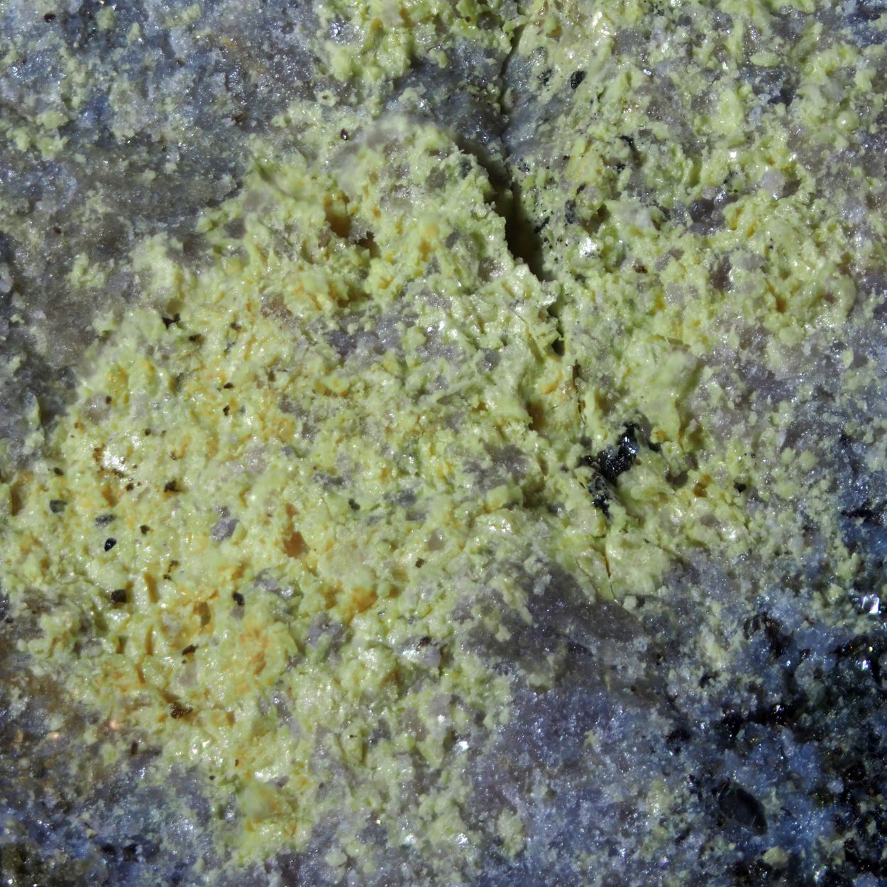 Haleniusite-(La)