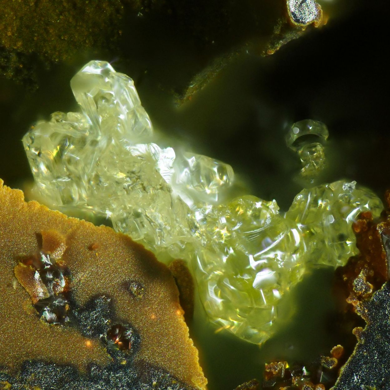 Iodargyrite