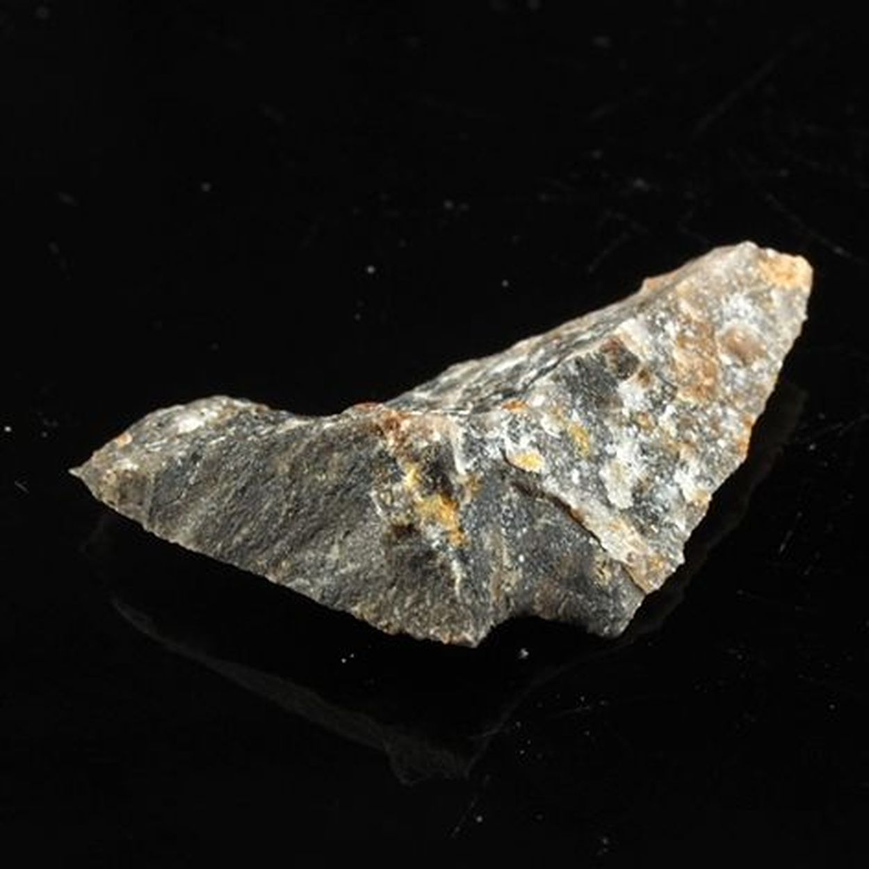 Scheuchzerite
