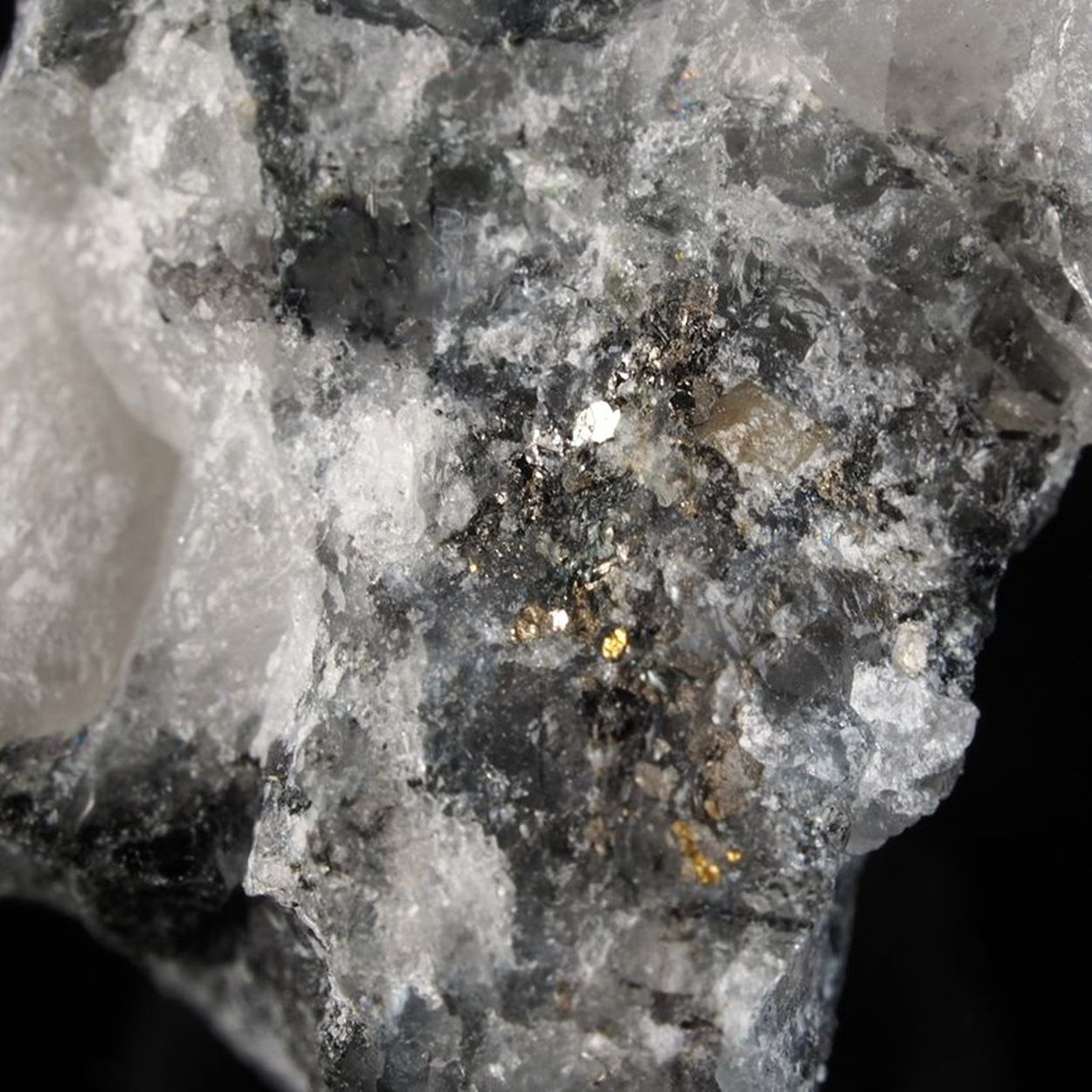 Gold With Tellurobismuthite