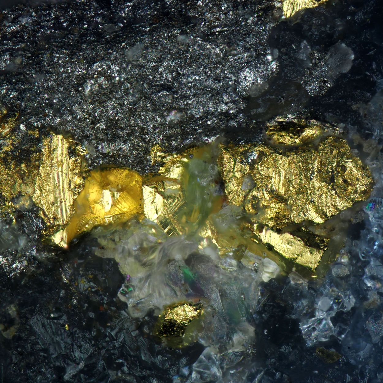 Gold With Tellurobismuthite