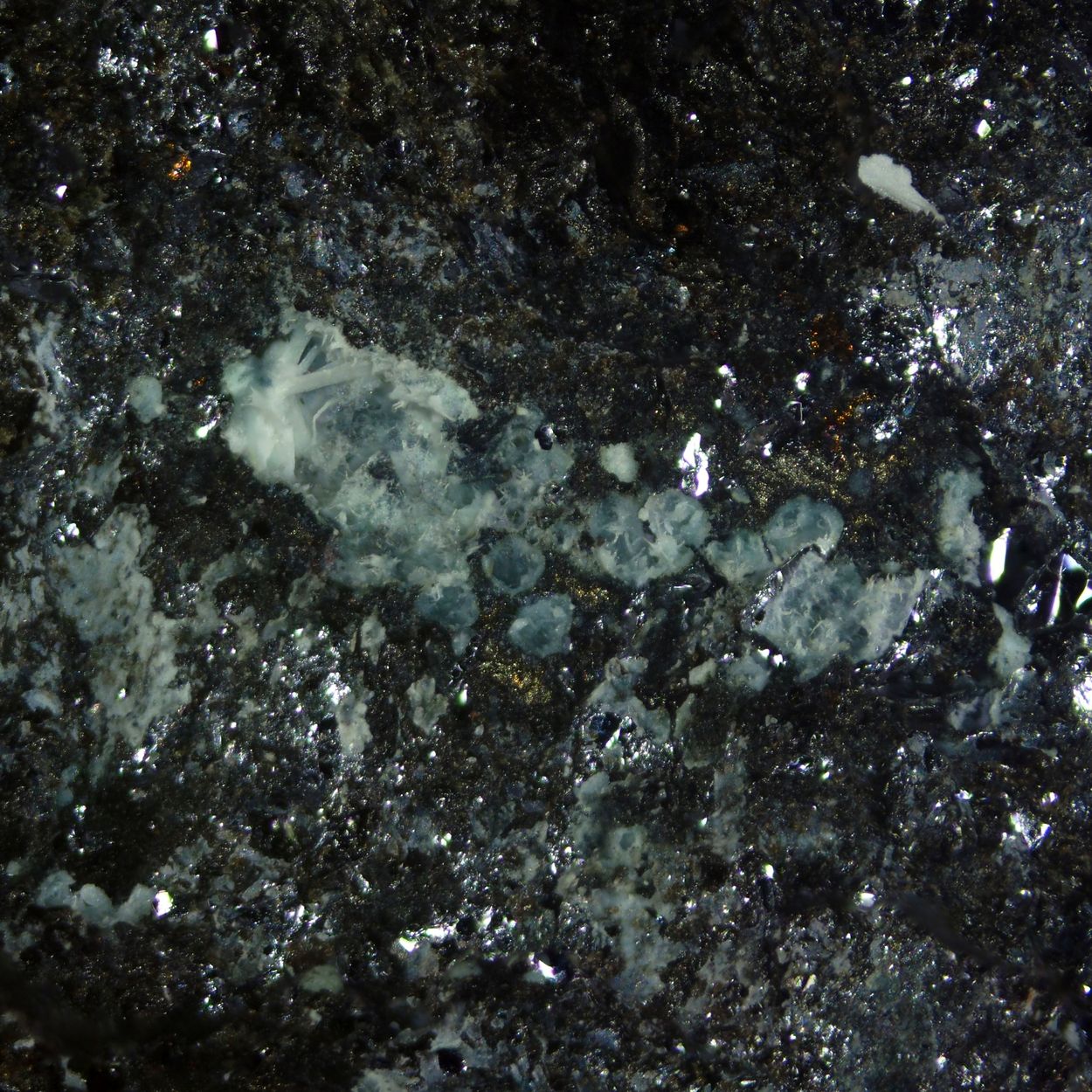 Tavagnascoite