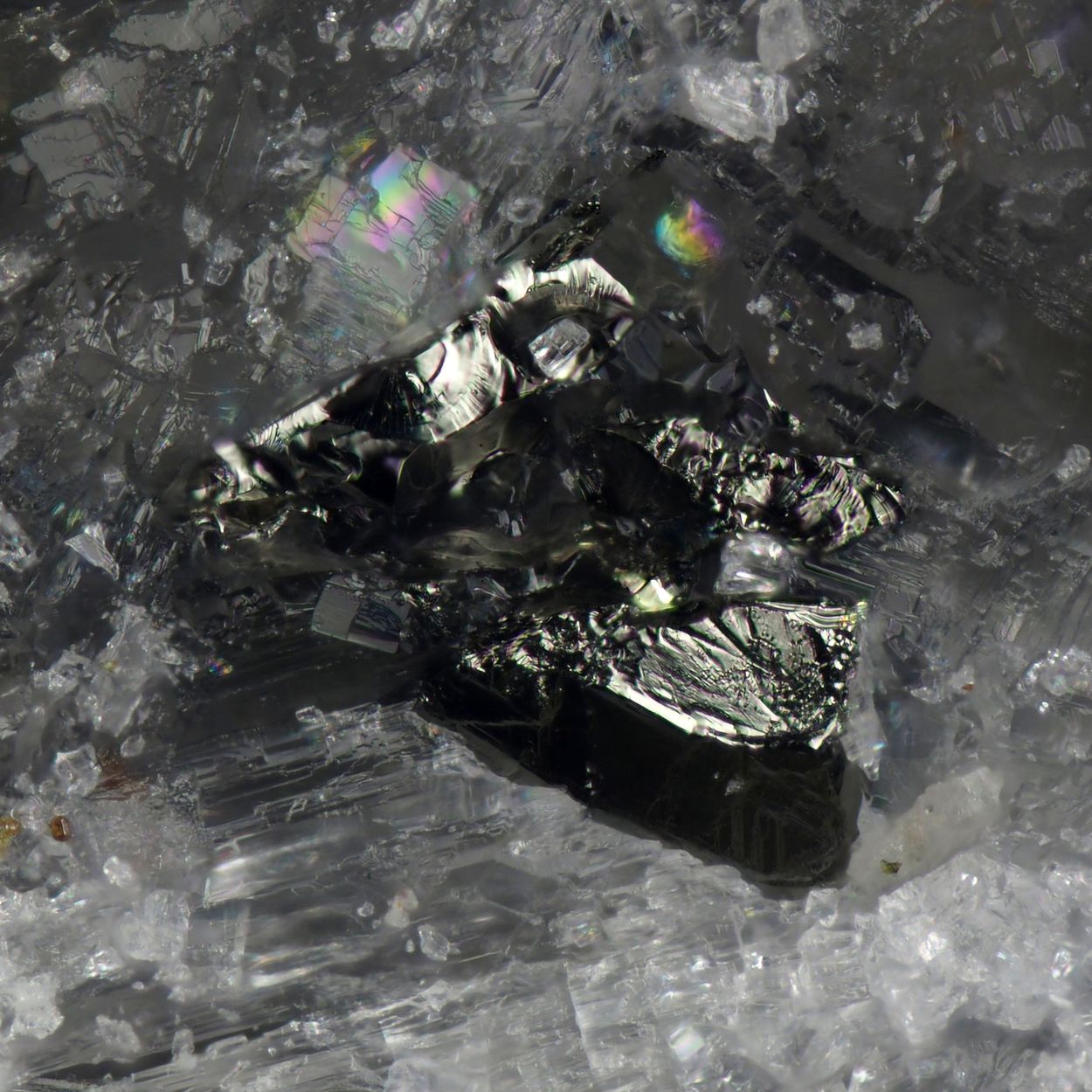 Nekrasovite