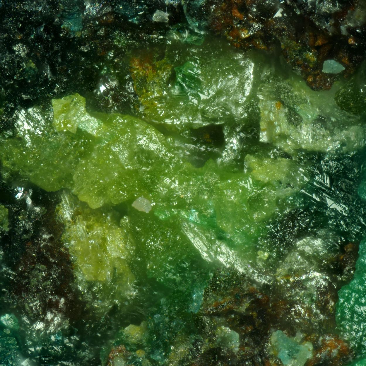 Mandarinoite