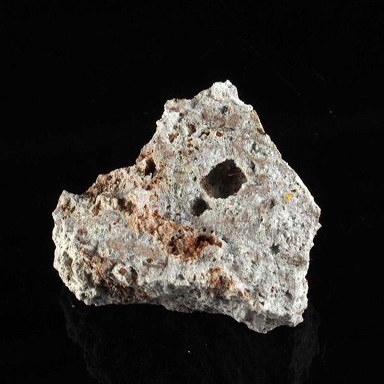 Magnesio-ferri-fluoro-hornblende