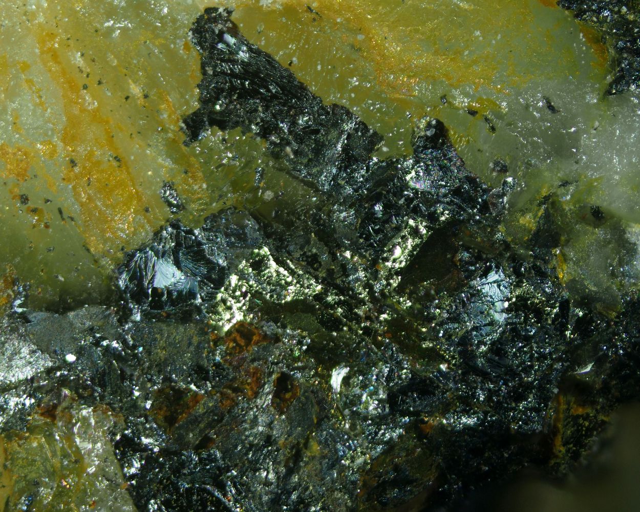 Erzwiesite